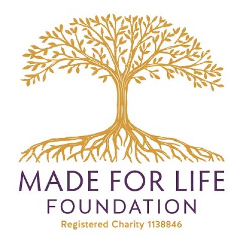 Ask The Expert with The Made for Life Foundation